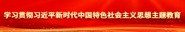 我要看操逼毛片学习贯彻习近平新时代中国特色社会主义思想主题教育